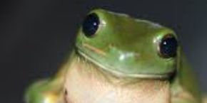 Computer Science course thumbnail