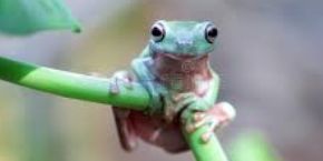 Biology course thumbnail